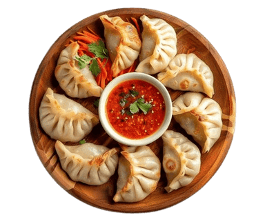 Chicken Dumplings